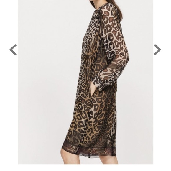 LUISA CERANO Leopard Silk Chiffon Dress Brown Cream Knee Length Shift Sz M - Picture 13 of 13